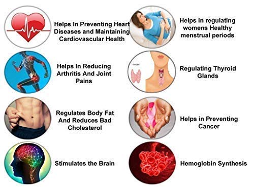 1ce60eb6-4050-4c81-807d-561b889602d0_3e204ce4-736b-4fc5-9098-fff106a55fbe